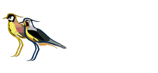 Los Teros